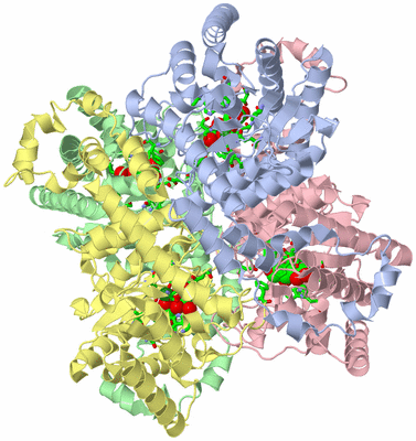 Image Asym./Biol. Unit - sites