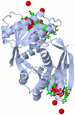 Image Biol. Unit 1 - sites