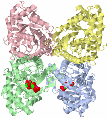 Image Asym./Biol. Unit