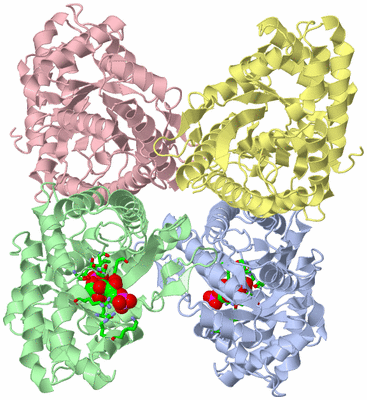 Image Asym./Biol. Unit - sites