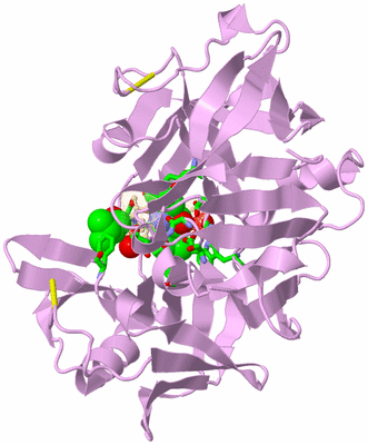 Image Asym./Biol. Unit - sites