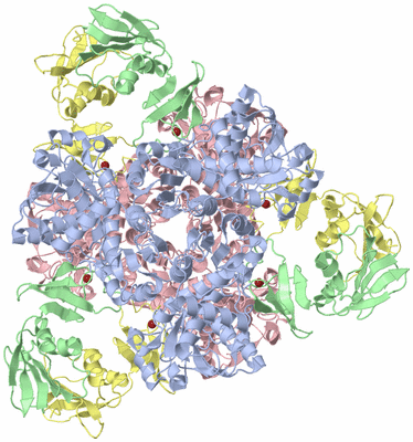 Image Biological Unit 1