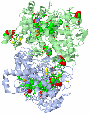 Image Asym./Biol. Unit - sites