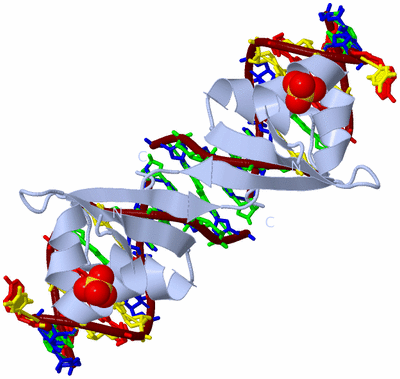 Image Biological Unit 1