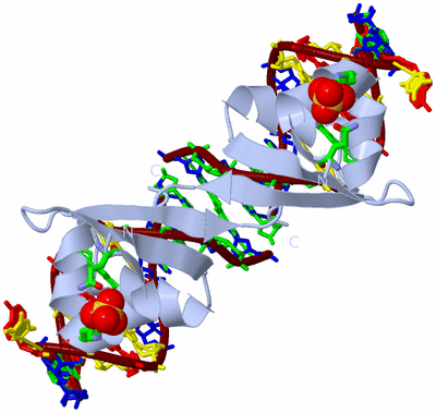 Image Biol. Unit 1 - sites