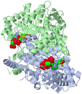 Image Asym./Biol. Unit