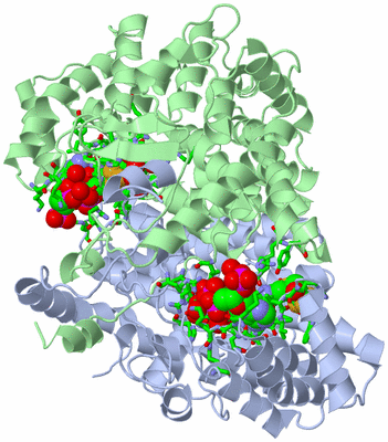 Image Asym./Biol. Unit - sites