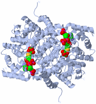 Image Biological Unit 1