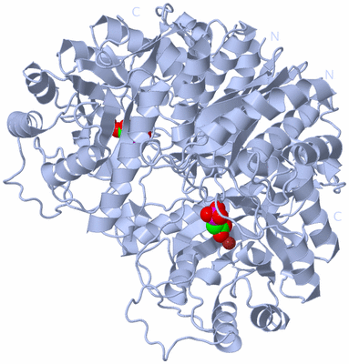 Image Biological Unit 1