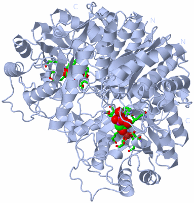 Image Biol. Unit 1 - sites