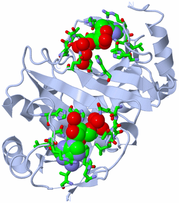 Image Biol. Unit 1 - sites