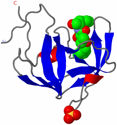 Image Asymmetric Unit