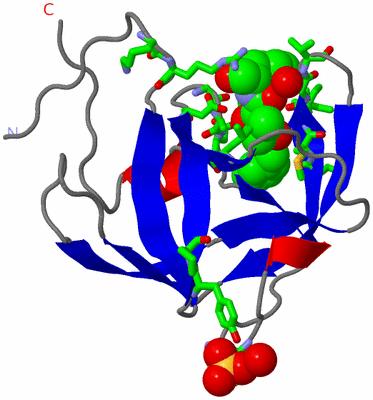 Image Asym. Unit - sites