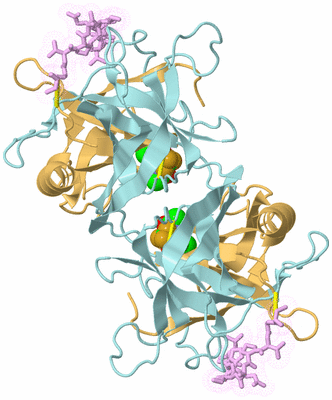 Image Biological Unit 1