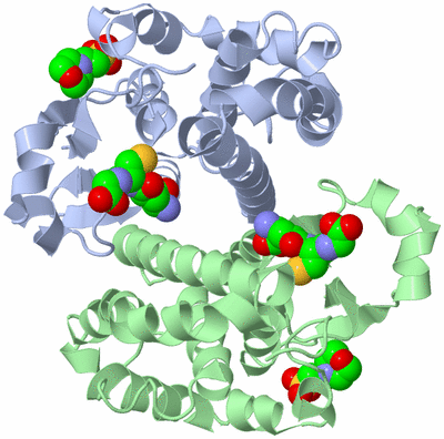 Image Asym./Biol. Unit