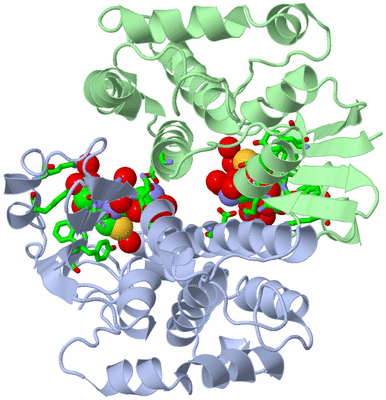 Image Asym./Biol. Unit - sites