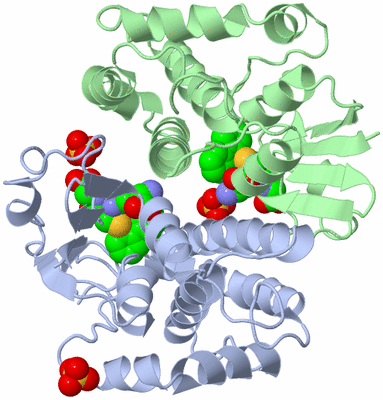 Image Asym./Biol. Unit