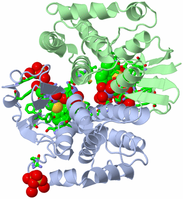 Image Asym./Biol. Unit - sites