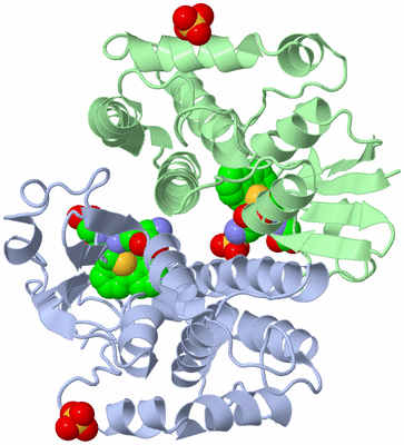 Image Asym./Biol. Unit