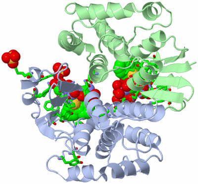 Image Asym./Biol. Unit - sites