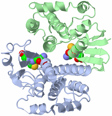 Image Asym./Biol. Unit