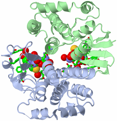 Image Asym./Biol. Unit - sites