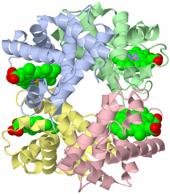 Image Asym./Biol. Unit