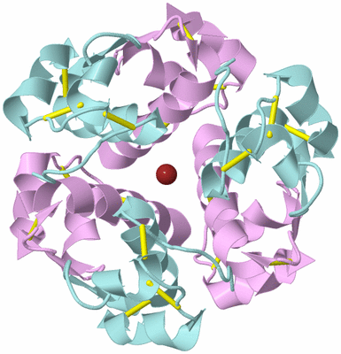 Image Biological Unit 2