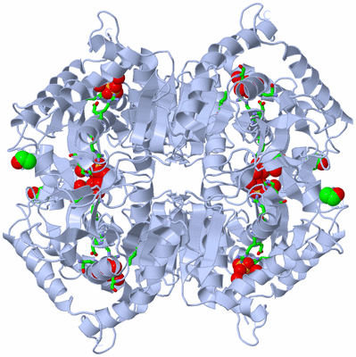 Image Biol. Unit 1 - sites