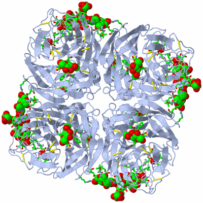 Image Biol. Unit 1 - sites