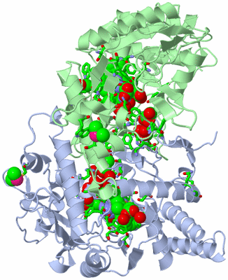 Image Asym./Biol. Unit - sites