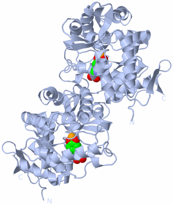 Image Biological Unit 1