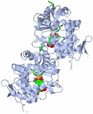 Image Biol. Unit 1 - sites