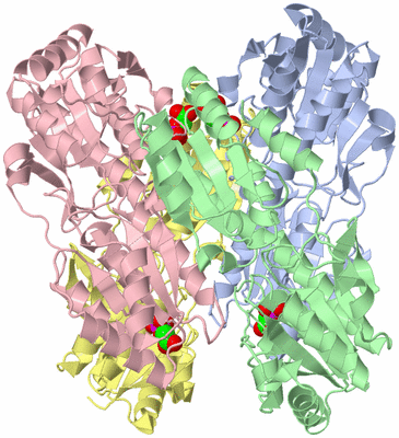 Image Asym./Biol. Unit