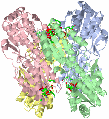 Image Asym./Biol. Unit - sites