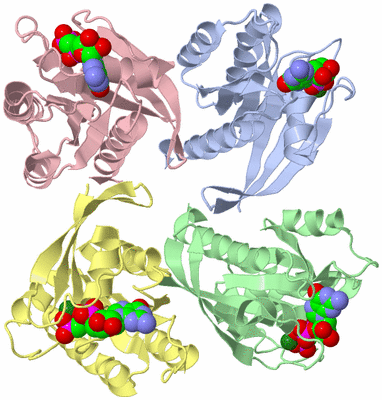 Image Asym./Biol. Unit