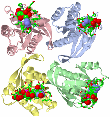 Image Asym./Biol. Unit - sites