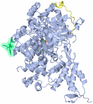 Image Biol. Unit 1 - sites