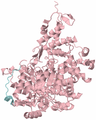 Image Biological Unit 3