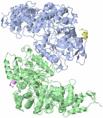 Image Biological Unit 7