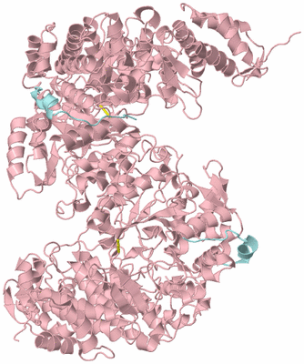 Image Biological Unit 8