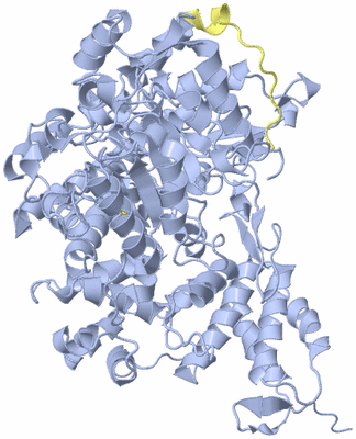 Image Biological Unit 9