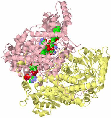 Image Biological Unit 2