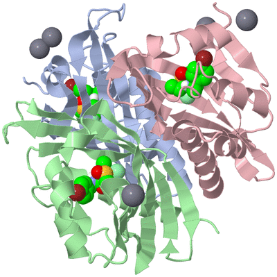 Image Biological Unit 1