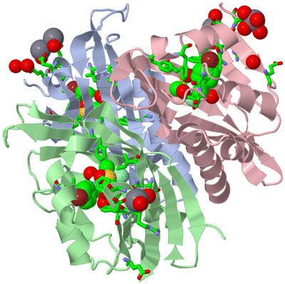 Image Biol. Unit 1 - sites