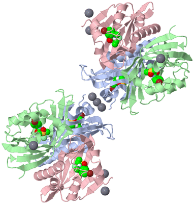 Image Biological Unit 2