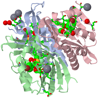Image Asym. Unit - sites