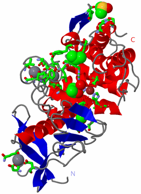 Image Asym./Biol. Unit - sites