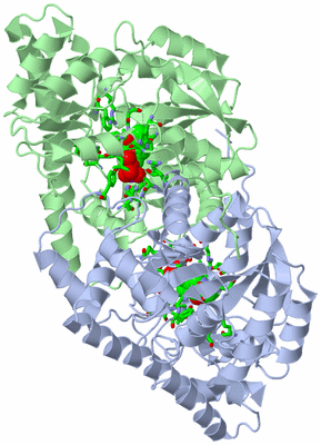 Image Asym./Biol. Unit - sites