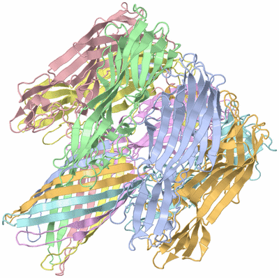 Image Asym./Biol. Unit